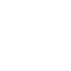 icon_ins